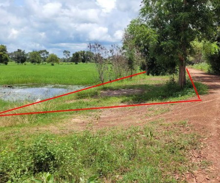 รูปที่ดินว่างเปล่า หนองแวง เกษตรวิสัย ร้อยเอ็ด