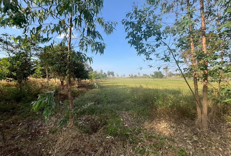 รูปที่ดินว่างเปล่า หนองแวง กุดรัง มหาสารคาม