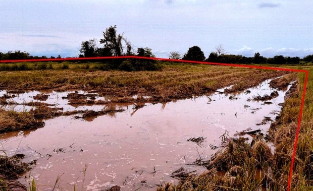 รูปที่ดินว่างเปล่า หนองกะท้าว นครไทย พิษณุโลก