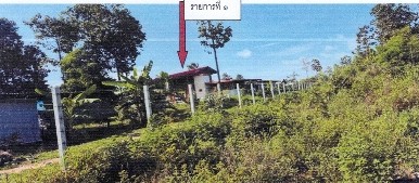 รูปที่ดินพร้อมสิ่งปลูกสร้าง หนองจิก บรบือ มหาสารคาม