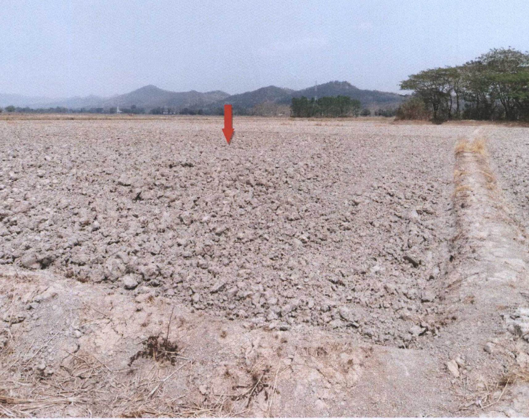 รูปที่ดินว่างเปล่า ดอยลาน เมืองเชียงราย เชียงราย