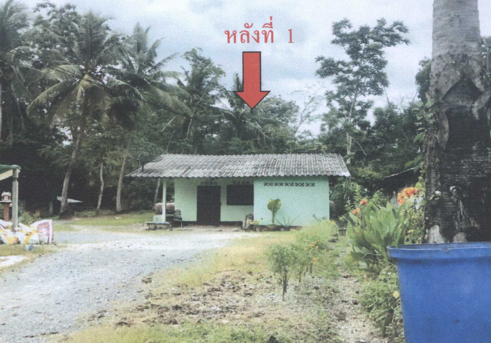 รูปที่ดินพร้อมสิ่งปลูกสร้าง ที่วัง ทุ่งสง นครศรีธรรมราช