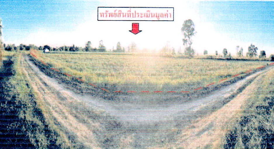 รูปที่ดินว่างเปล่า ยางชุมน้อย ยางชุมน้อย ศรีสะเกษ