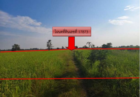 รูปที่ดินว่างเปล่า ชุมแสงสงคราม บางระกำ พิษณุโลก
