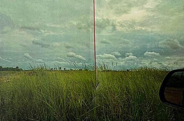 รูปที่ดินว่างเปล่า ลำคอหงษ์ โนนสูง นครราชสีมา