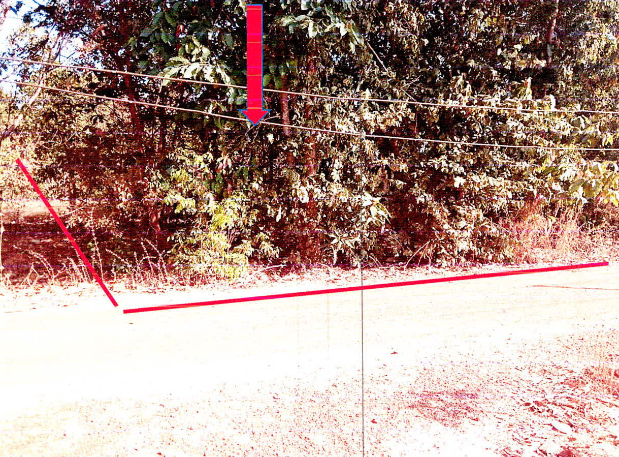 รูปที่ดินว่างเปล่า แก่งโดม สว่างวีระวงศ์ อุบลราชธานี