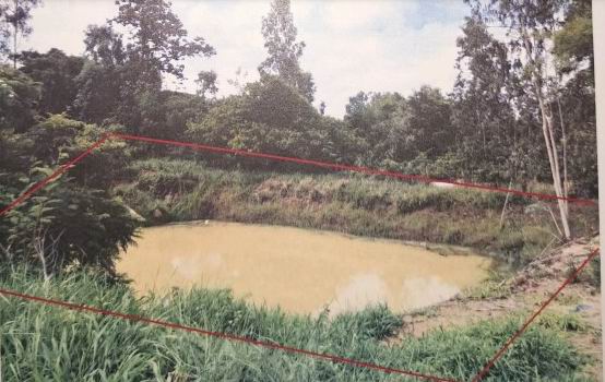 รูปที่ดินว่างเปล่า คำเจริญ ตระการพืชผล อุบลราชธานี