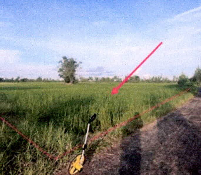 รูปที่ดินว่างเปล่า เมืองแคน ราษีไศล ศรีสะเกษ