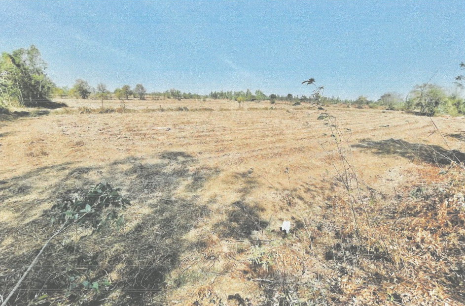 รูปที่ดินว่างเปล่า หนองบัวแก้ว พยัคฆภูมิพิสัย มหาสารคาม