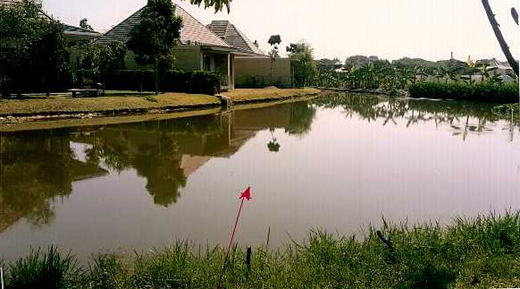 รูปที่ดินพร้อมสิ่งปลูกสร้าง หนองหาร สันทราย เชียงใหม่