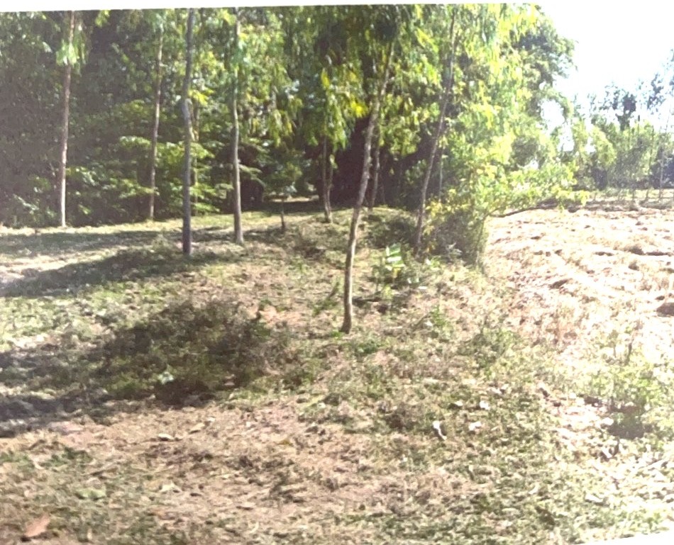 รูปที่ดินว่างเปล่า หนองบัวสันตุ ยางสีสุราช มหาสารคาม