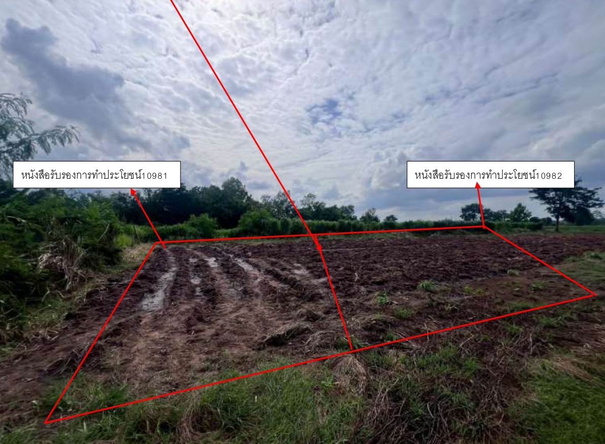 รูปที่ดินว่างเปล่า ธงชัยเหนือ ปักธงชัย นครราชสีมา
