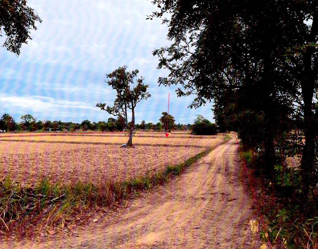 รูปที่ดินว่างเปล่า โพนข่า เมืองศรีสะเกษ ศรีสะเกษ