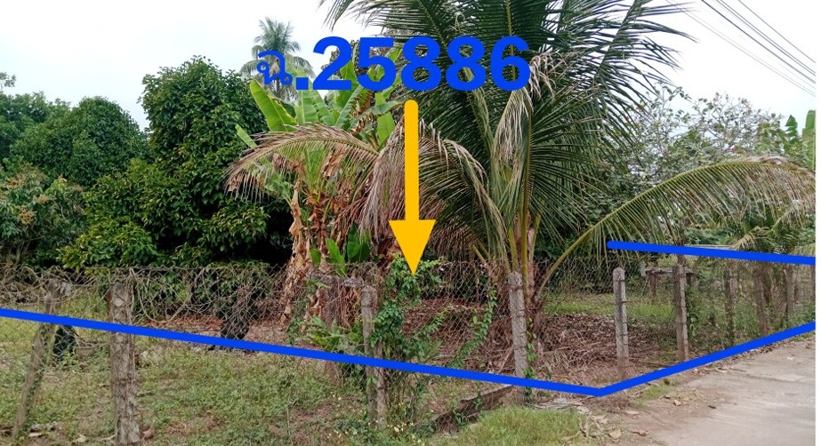 รูปที่ดินว่างเปล่า เวียง เชียงแสน เชียงราย