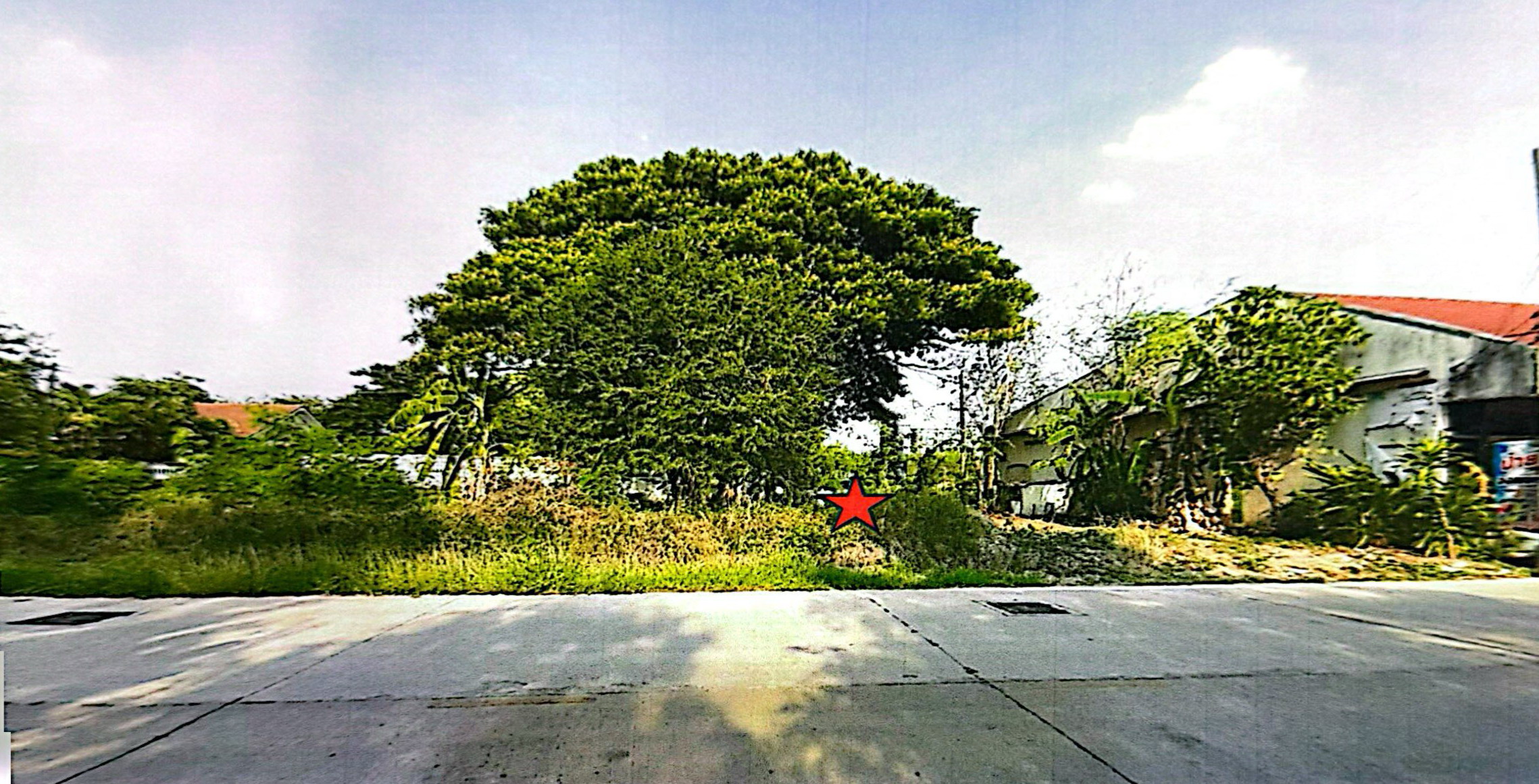 รูปที่ดินว่างเปล่า หนองจะบก เมืองนครราชสีมา นครราชสีมา