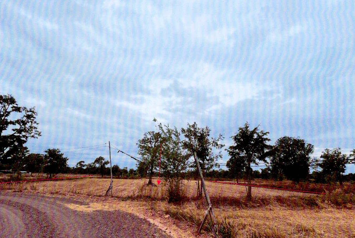 รูปที่ดินว่างเปล่า โพนข่า เมืองศรีสะเกษ ศรีสะเกษ