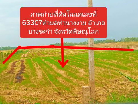รูปที่ดินว่างเปล่า ท่านางงาม บางระกำ พิษณุโลก