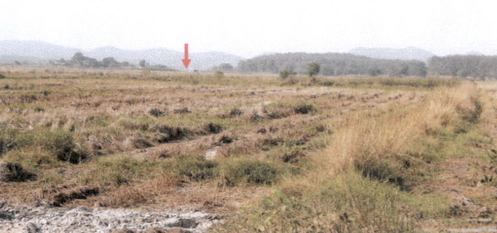 รูปที่ดินว่างเปล่า ดอยลาน เมืองเชียงราย เชียงราย