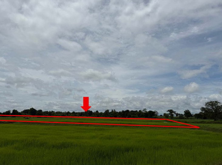 รูปที่ดินว่างเปล่า โพนเพ็ก มัญจาคีรี ขอนแก่น