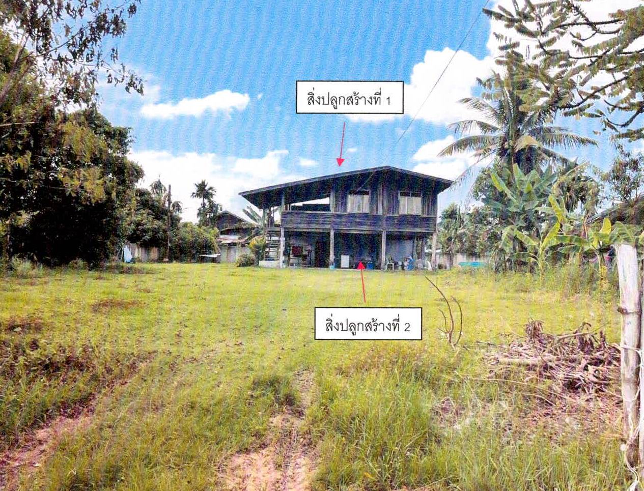 รูปที่ดินพร้อมสิ่งปลูกสร้าง หนองไฮ เมืองศรีสะเกษ ศรีสะเกษ