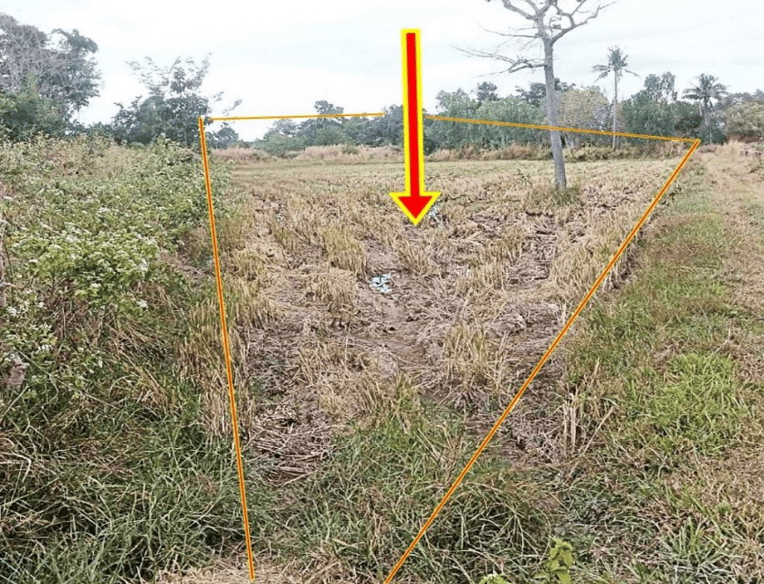 รูปที่ดินว่างเปล่า หนองกินเพล(บุ่งหวาย) วารินชำราบ อุบลราชธานี