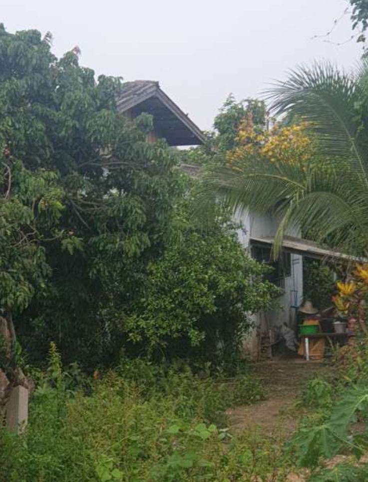 รูปที่ดินพร้อมสิ่งปลูกสร้าง แม่แฝกใหม่ สันทราย เชียงใหม่