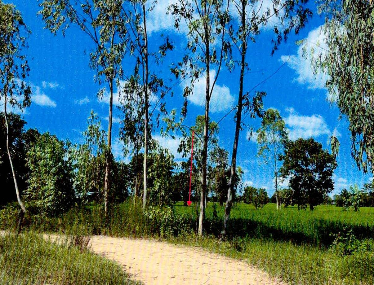รูปที่ดินว่างเปล่า หนองไฮ เมืองศรีสะเกษ ศรีสะเกษ