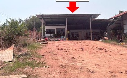 รูปที่ดินพร้อมสิ่งปลูกสร้าง บ้านป่า เมืองพิษณุโลก พิษณุโลก