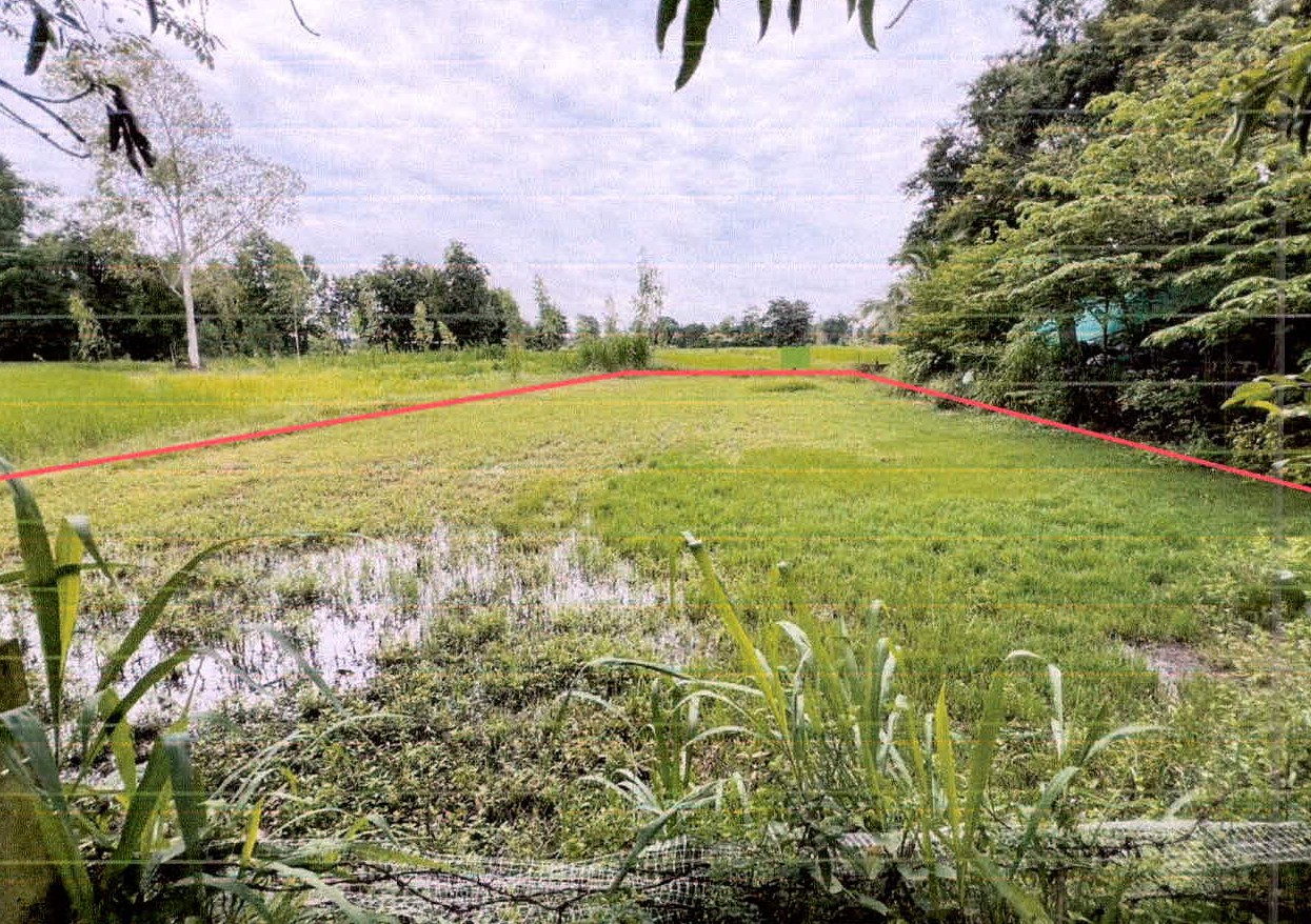 รูปที่ดินว่างเปล่า ก้านเหลือง อุทุมพรพิสัย ศรีสะเกษ