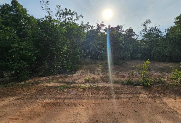 รูปที่ดินว่างเปล่า ปะอาว เมืองอุบลราชธานี อุบลราชธานี