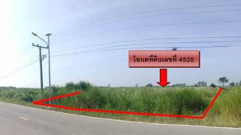 รูปที่ดินว่างเปล่า นิคมพัฒนา บางระกำ พิษณุโลก