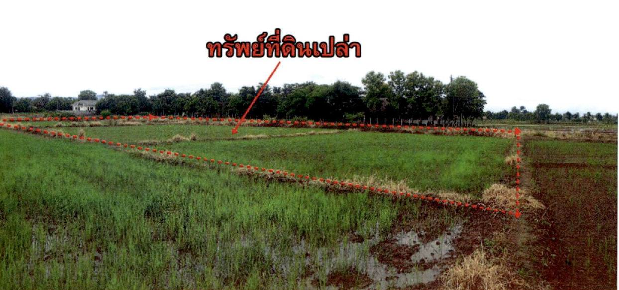 รูปที่ดินว่างเปล่า แช่ช้าง สันกำแพง เชียงใหม่