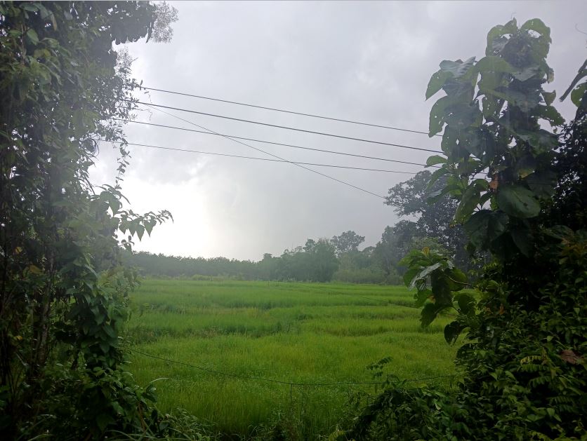 รูปที่ดินว่างเปล่า สร้างคอม สร้างคอม อุดรธานี
