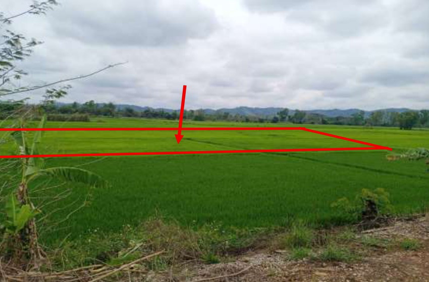 รูปที่ดินว่างเปล่า เวียงชัย เวียงชัย เชียงราย
