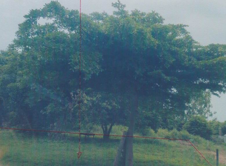 รูปที่ดินว่างเปล่า บ้านโพธิ์ เมืองนครราชสีมา นครราชสีมา