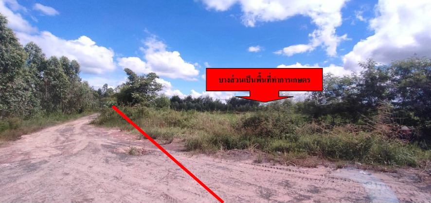 รูปที่ดินว่างเปล่า ยางขี้นก เขื่องใน อุบลราชธานี