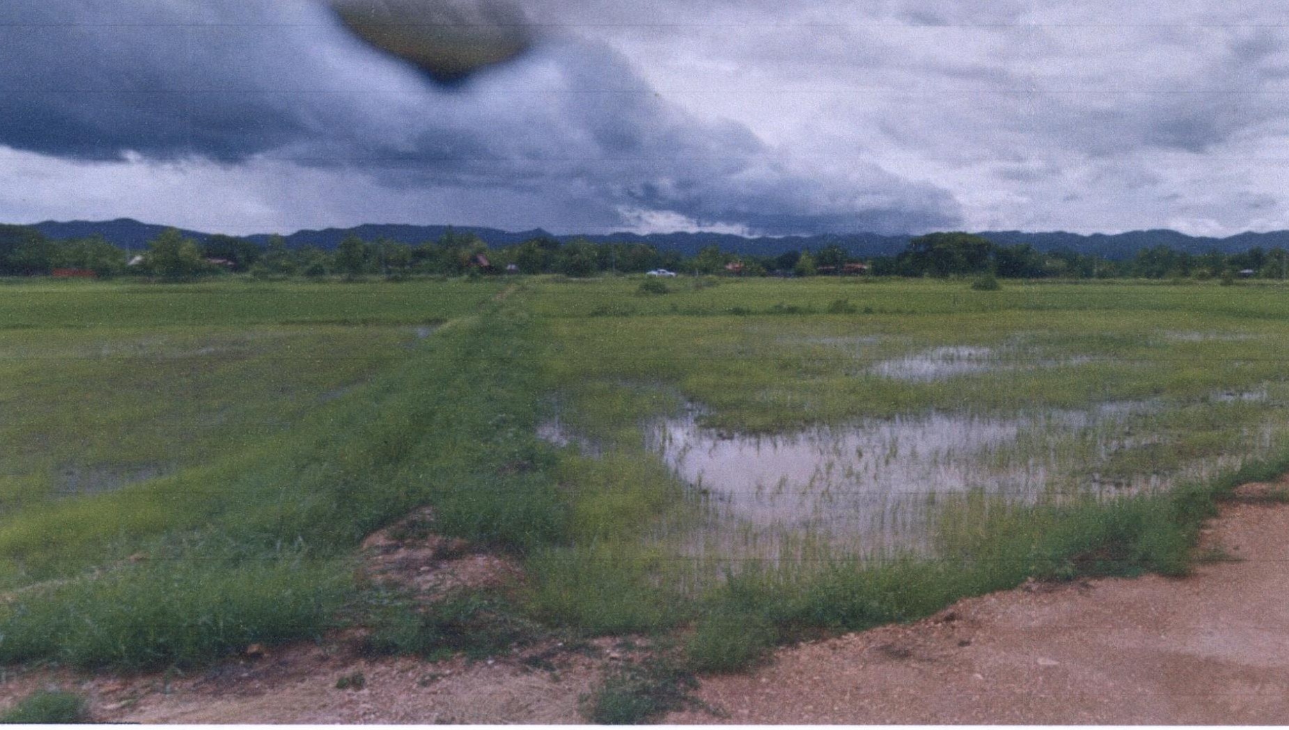 รูปที่ดินว่างเปล่า ทุ่งกวาว เมืองแพร่ แพร่