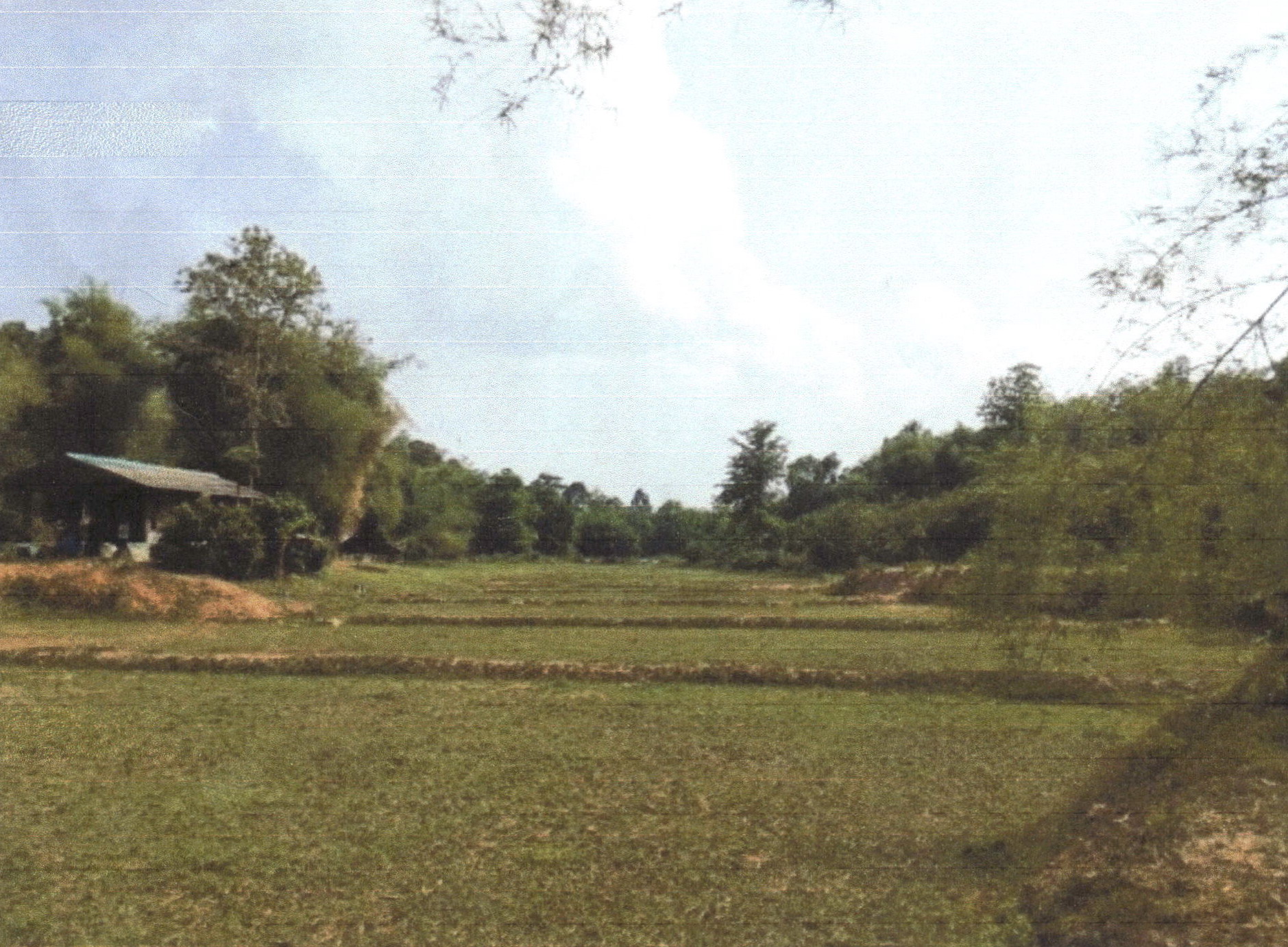รูปที่ดินว่างเปล่า เปือ เชียงกลาง น่าน