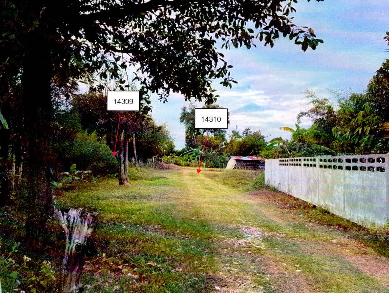 รูปที่ดินว่างเปล่า โพนเขวา เมืองศรีสะเกษ ศรีสะเกษ