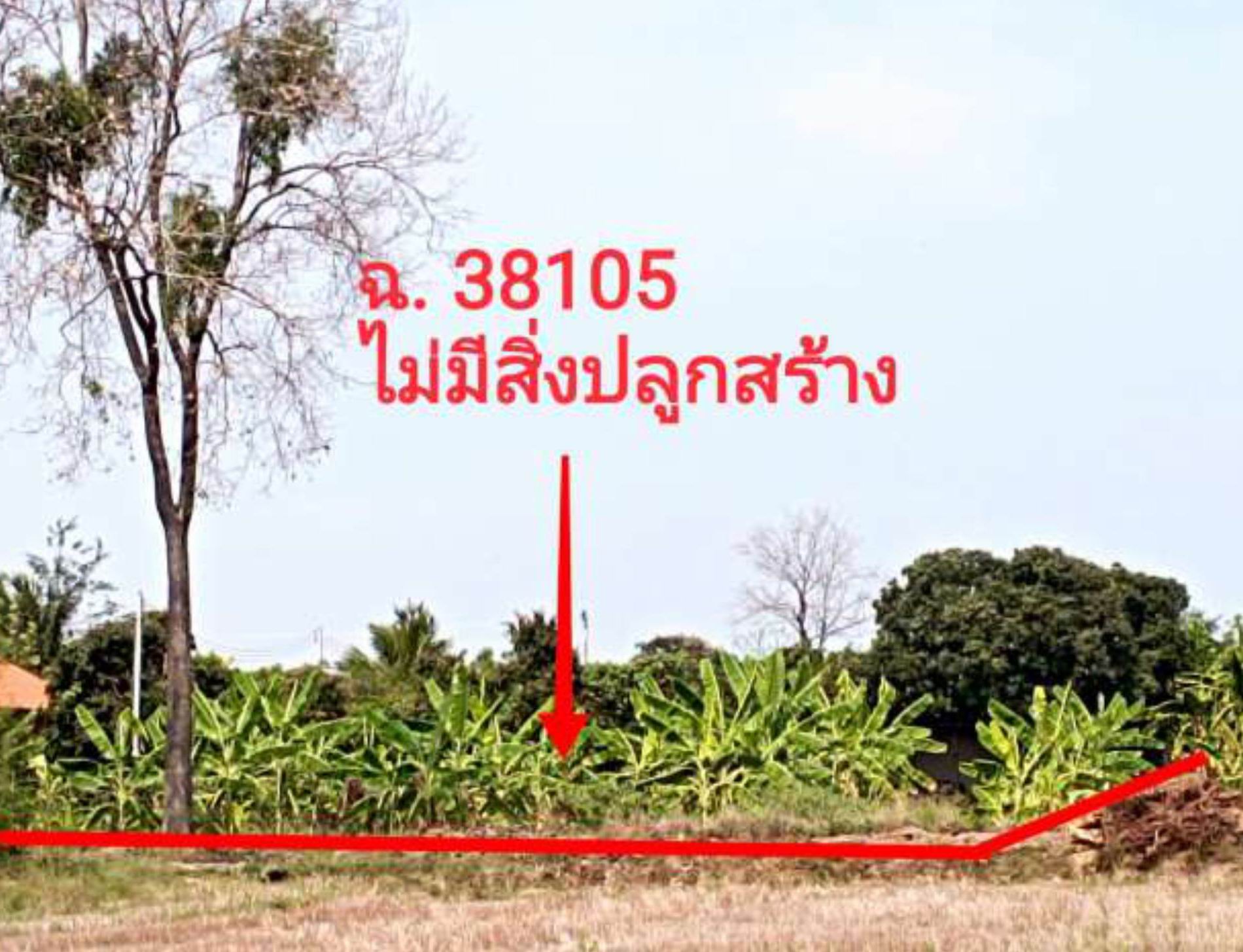 รูปที่ดินว่างเปล่า หนองสะเดา สามชุก สุพรรณบุรี