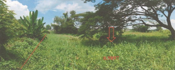 รูปที่ดินว่างเปล่า วังกระโจม เมืองนครนายก นครนายก