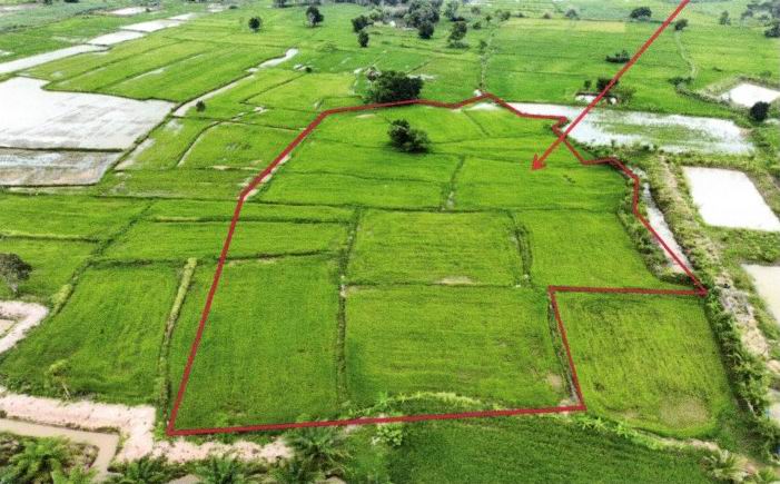 รูปที่ดินว่างเปล่า บ้านฝาง สระใคร หนองคาย