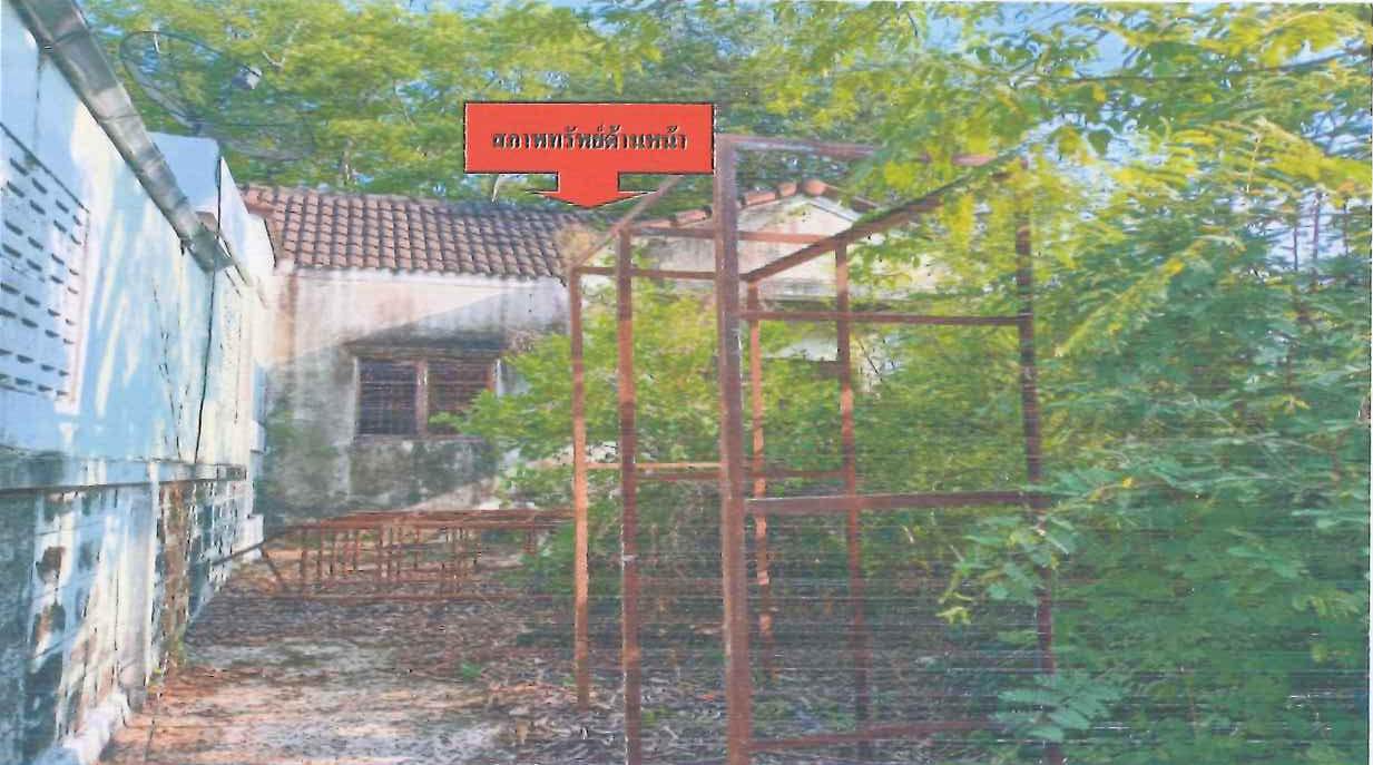 รูปที่ดินพร้อมสิ่งปลูกสร้าง ทุ่งโพธิ์ นาดี ปราจีนบุรี