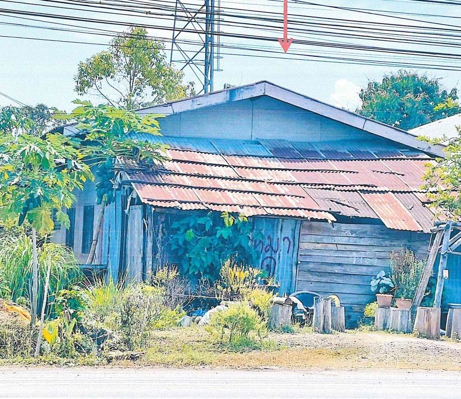 รูปที่ดินพร้อมสิ่งปลูกสร้าง บ้านกล้วย เมืองสุโขทัย สุโขทัย
