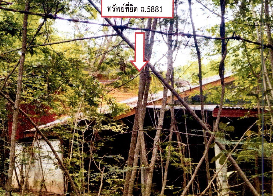 รูปที่ดินพร้อมสิ่งปลูกสร้าง กระเบื้องนอก เมืองยาง นครราชสีมา
