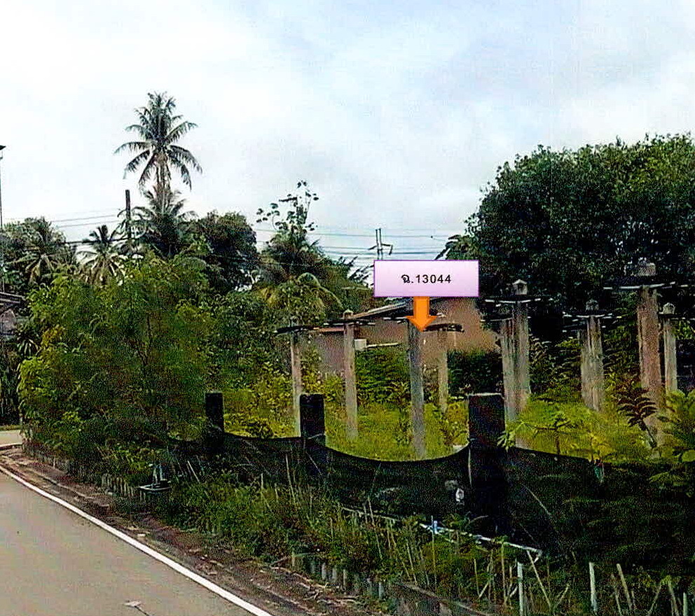 รูปที่ดินว่างเปล่า บางริ้น เมือง ระนอง