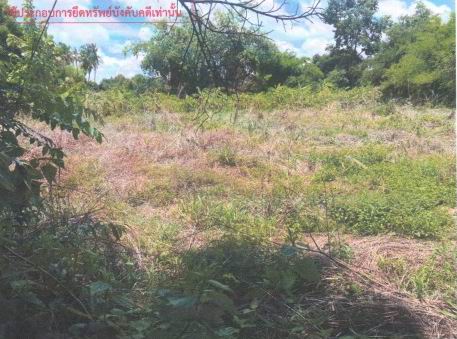 รูปที่ดินว่างเปล่า นาตาล ท่าคันโท กาฬสินธุ์