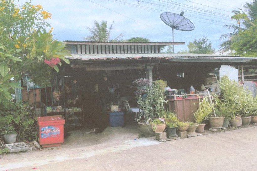 รูปที่ดินพร้อมสิ่งปลูกสร้าง ลำนารายณ์ ชัยบาดาล ลพบุรี