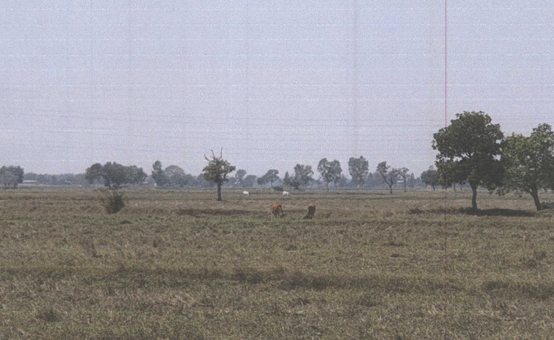 รูปที่ดินว่างเปล่า ปะหลาน พยัคฆภูมิพิสัย มหาสารคาม