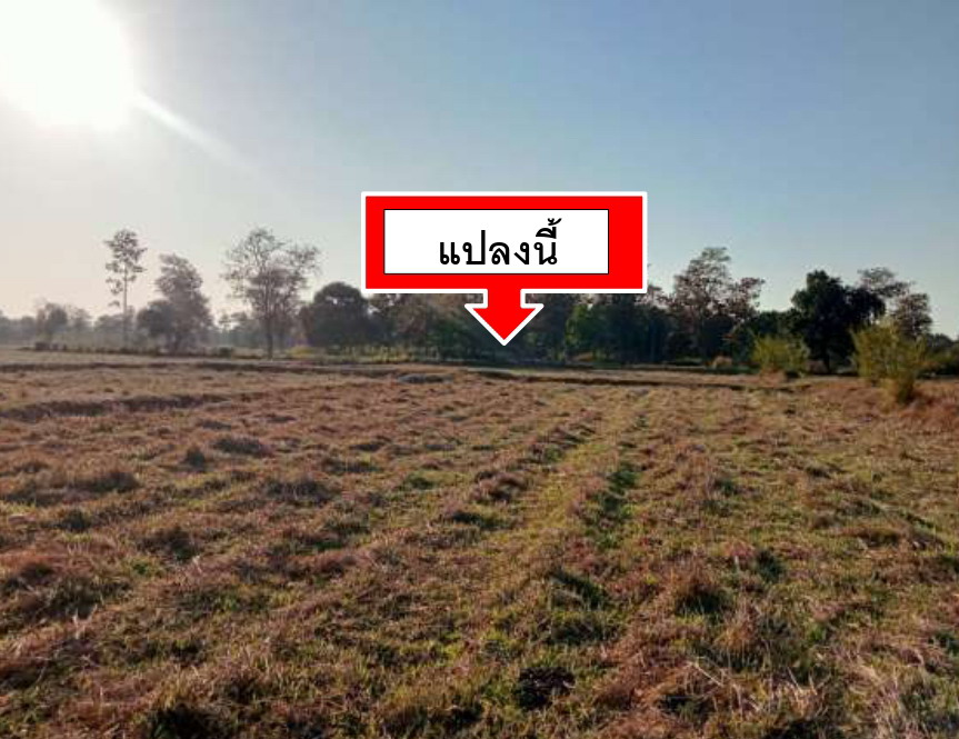 รูปที่ดินว่างเปล่า ดอนเมย เมืองอำนาจเจริญ อำนาจเจริญ
